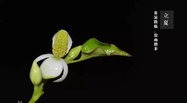 20170506112439.jpg